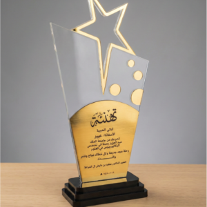 Star Acrylic award